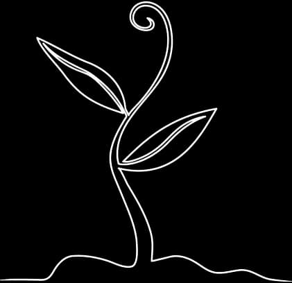 Post-Separation Counselling